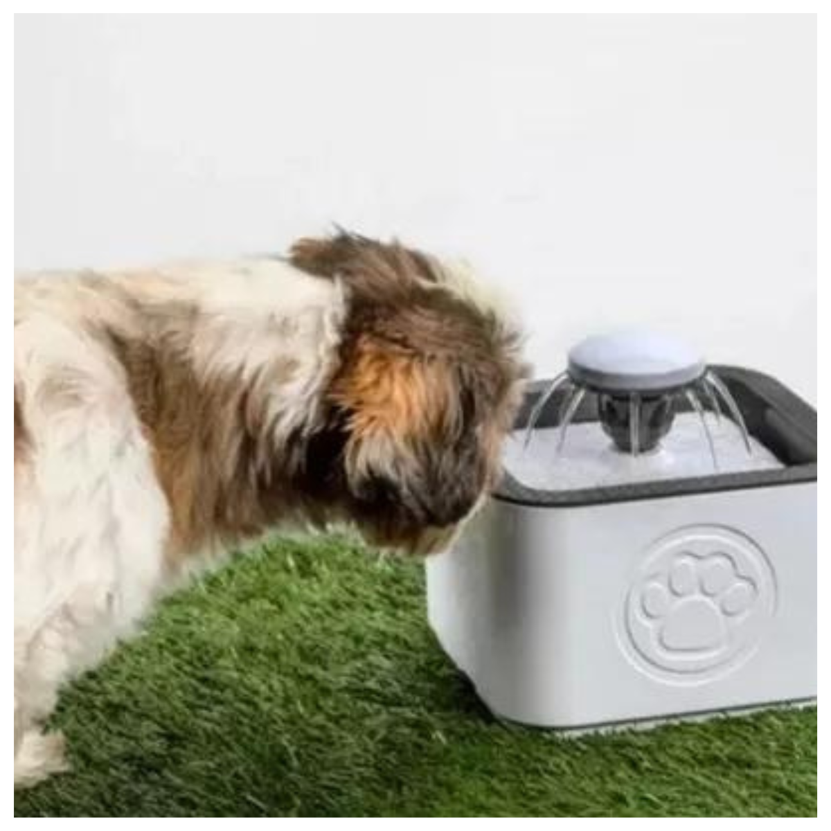Fuente de agua para mascota 2.5 L