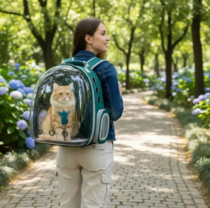 Mochila transportadora transparente para mascota